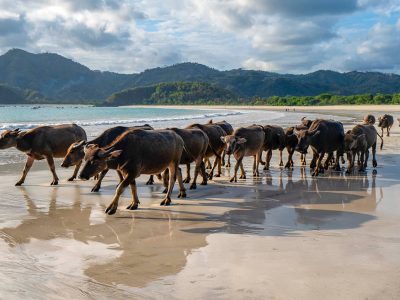selong belanak beach