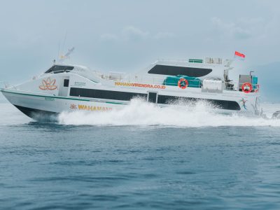 eco friendly fast boat